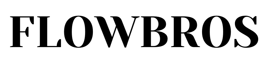 Flow Bros